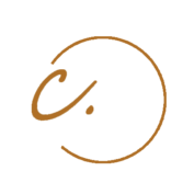 ny camverkan logo utan namn orange webb